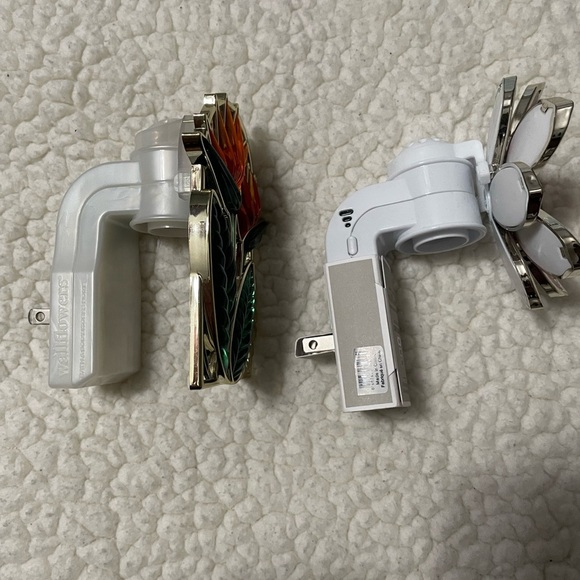 Wallflower Plug in Pink Flower & Birds of Paradise Plant Lot - Picture 4 of 5